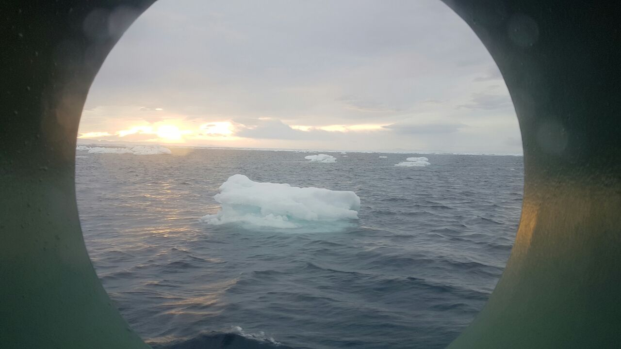 Día 2: Viaje por el Arctic Sunrise atravesando los hielos del continente blanco