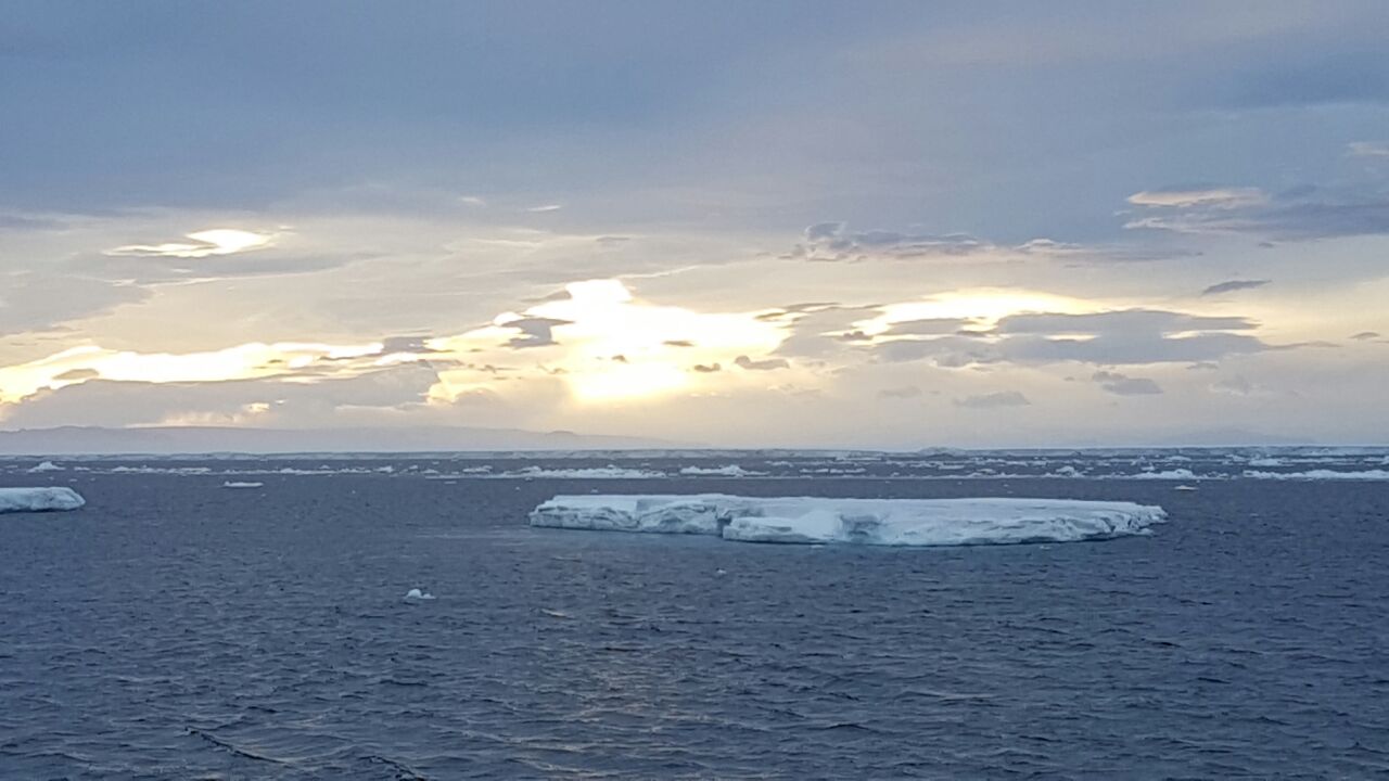 Día 2: Viaje por el Arctic Sunrise atravesando los hielos del continente blanco